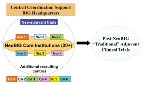 Figure 1: Structure of the NeoBIG program