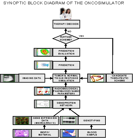 oncosimulator